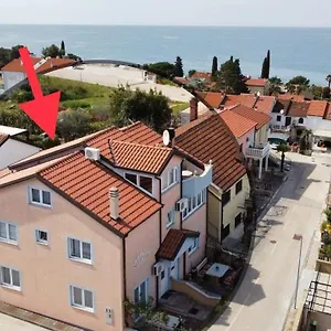 Ruzica , Dajla Kroatien